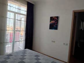 105 Lermontov Str Niko apartment